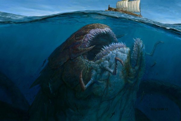 Kraken cc