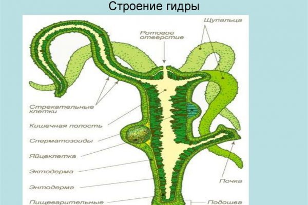 Кракен сайт 13at