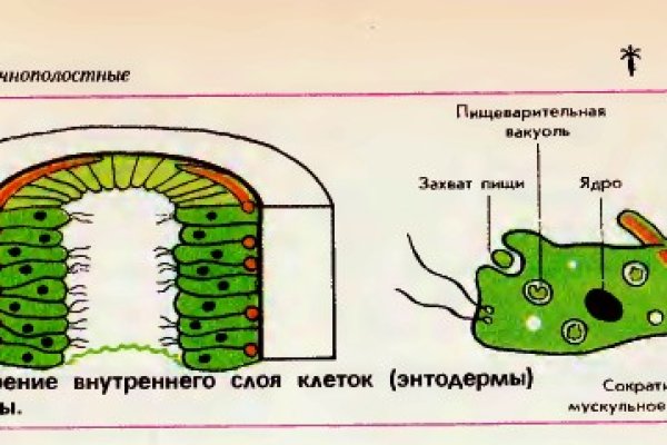 Kraken наркошоп