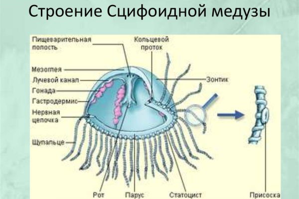 Как попасть на сайт кракен